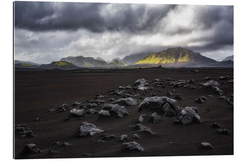 Gallery print In the ash fields