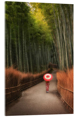 Obraz na szkle akrylowym In the morning in the bamboo forest