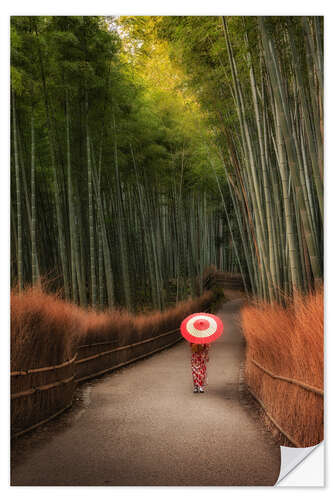 Sisustustarra In the morning in the bamboo forest