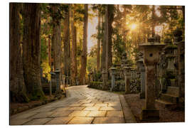 Aluminiumsbilde In the evening at the Okunoin cemetery