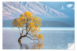 Sticker mural Arbre de Wanaka dans la lumière du matin