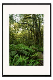 Gerahmter Kunstdruck Grüne Idylle