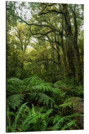 Magnettafel Grüne Idylle