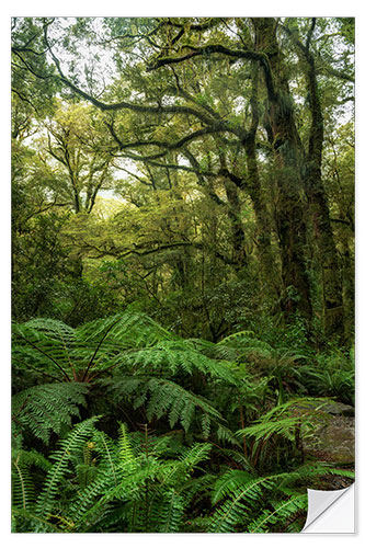 Självhäftande poster Green idyll