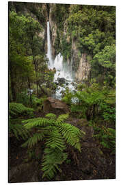 Aluminium print Ferns and waterfalls