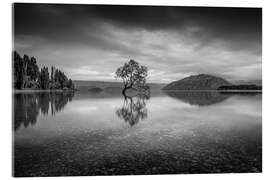Akrylbilde Wanaka Tree