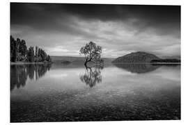 Obraz na PCV Wanaka Tree