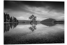 Galleritryk Wanaka Tree