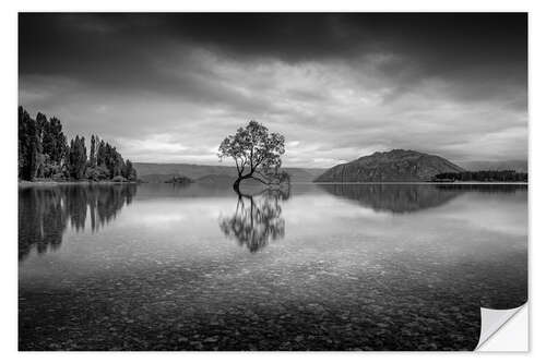 Sisustustarra Wanaka Tree