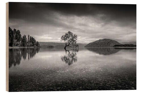 Obraz na drewnie Wanaka Tree