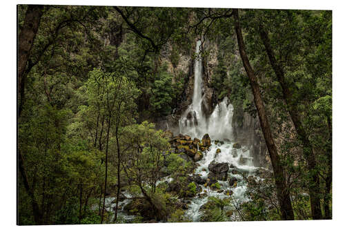 Aluminium print Jungle idyll