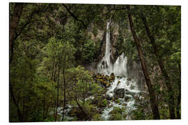 Aluminium print Jungle idyll