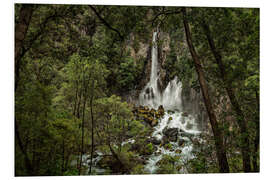 Foam board print Jungle idyll