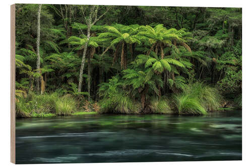 Trebilde On the green river