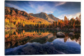 Galleritryck Golden light on Lake Saoseo