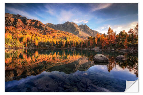 Selvklebende plakat Golden light on Lake Saoseo