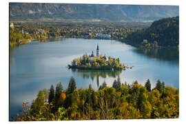 Aluminium print Island in the lake