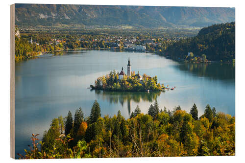 Wood print Island in the lake