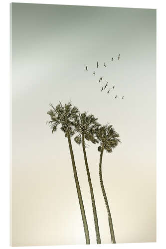 Acrylic print Idyll under palm trees