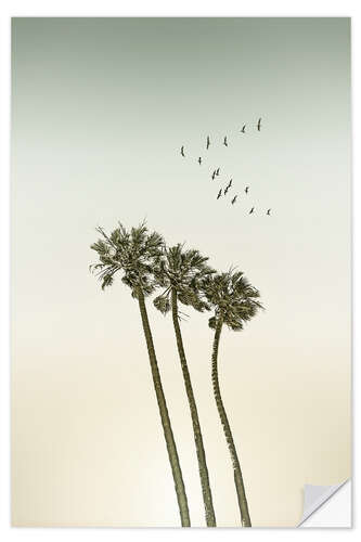 Wall sticker Idyll under palm trees