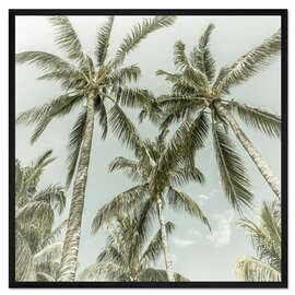 Gerahmter Kunstdruck Palmenhimmel