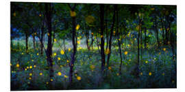 Foam board print Magic fireflies