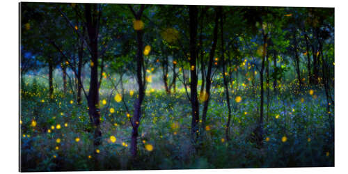 Galleriprint Magic fireflies