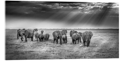 Akrylbilde Breakfast with pachyderms