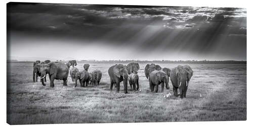 Tableau sur toile Pachydermes aux premières heures