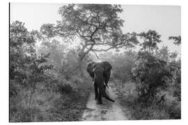 Magnettafel Wandernder Riese