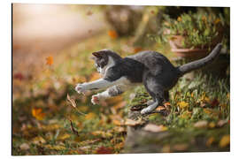 Tableau en aluminium Jeu d'automne