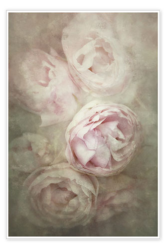 Poster Roses romantiques