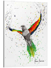 Aluminium print Lucky Lorikeet