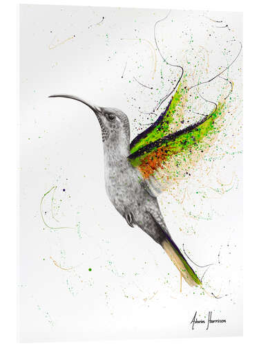 Akrylbilde Hummingbird's wing beat