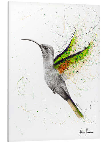 Aluminium print Hummingbird's wing beat