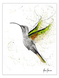 Plakat Hummingbird's wing beat