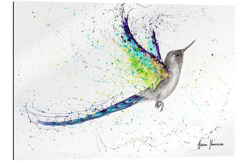 Gallery print Mysterious hummingbird