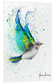 Foam board print Summer bird