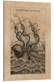 Aluminiumtavla  The giant octopus - Vintage Educational Collection