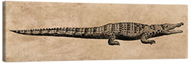 Canvas print The crocodile