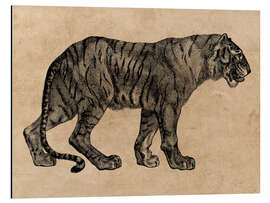 Magnettafel Der Tiger