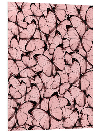 Foam board print Pink Butterflies