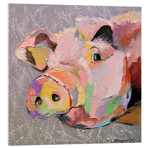 Acrylglasbild Schwein