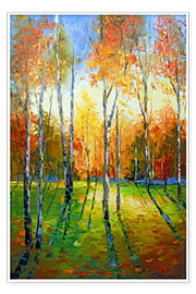 Poster Birches at sunset
