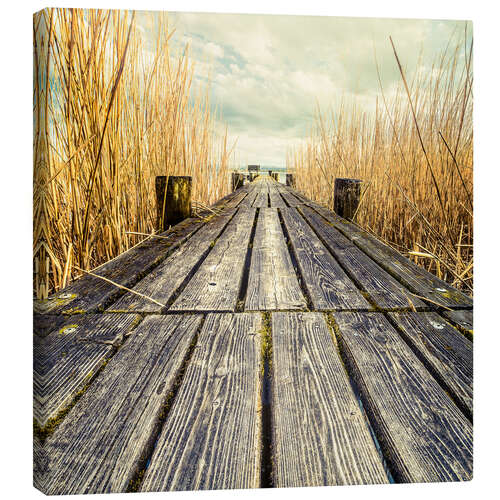 Canvastavla Footbridge in the reeds