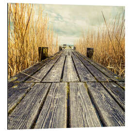 Magnettafel Steg im Schilf