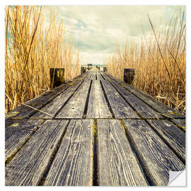 Självhäftande poster Footbridge in the reeds