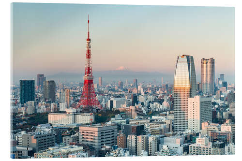 Acrylglas print Tokyo skyline with Tokyo Tower and Mount Fuji