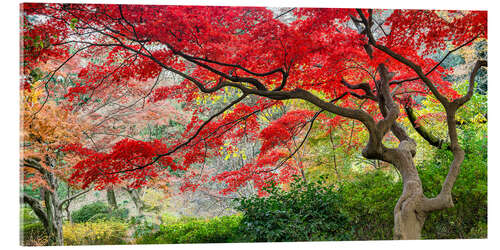 Quadro em acrílico Bordo japonês