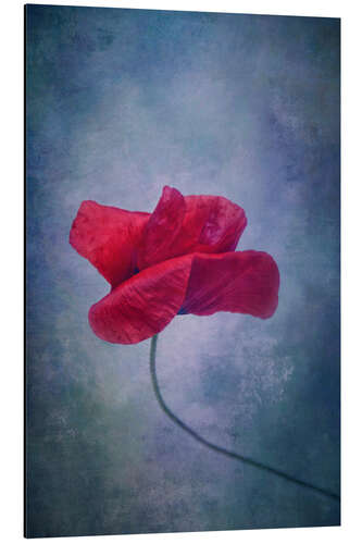 Tableau en aluminium Fleur de coquelicot